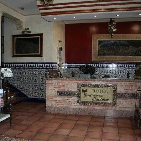 Princesa Galiana Hotel 3*
